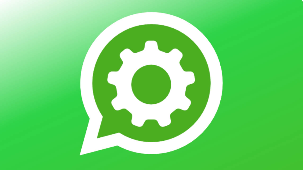 WhatsApp Business API WhatsApp Business API